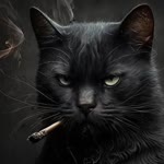 Ferdi