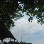 Sunny