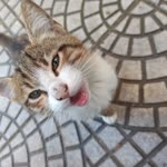 Beyza