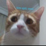 Ömer