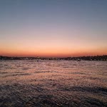 Dogan