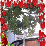Hayrettin