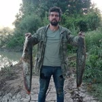 Selim
