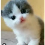 Yagmur