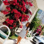Selin