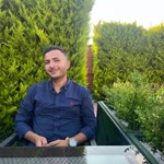 Halil