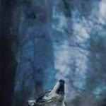 Tayfun