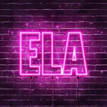 Elanisa