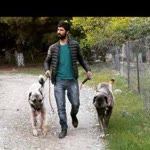 İbrahim