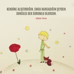 Duygu