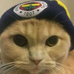 Süleyman