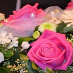 Rabia