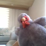 Fatih
