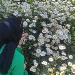 Elif