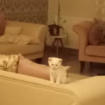 Fatma