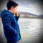 Yiğit