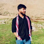 shahed