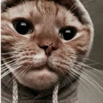 Emir