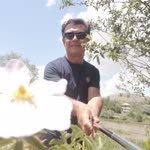 Mithat