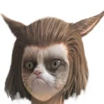 Meltemiqote