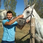 Serdar