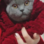 İrem