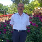Bahri