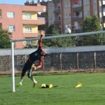 Bekir