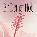 Bir