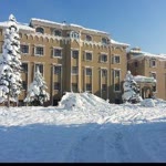 Davut