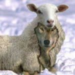 Sibel