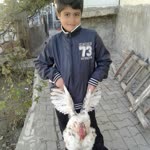 Evinizin