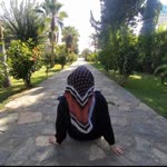 Nur