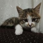 Esma