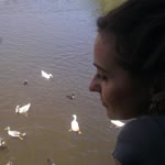 Sibel