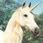 Selin