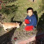 Ahmet