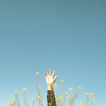Sinem