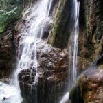 Çağla