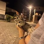 Elif
