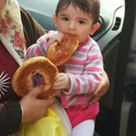 Erdal