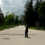 Umut