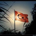 Hayati