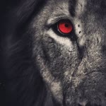 Anıl