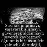 Soner