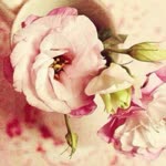 Elif