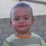 Hayal