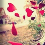 Merve