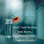 Fazilet