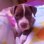 Fatma